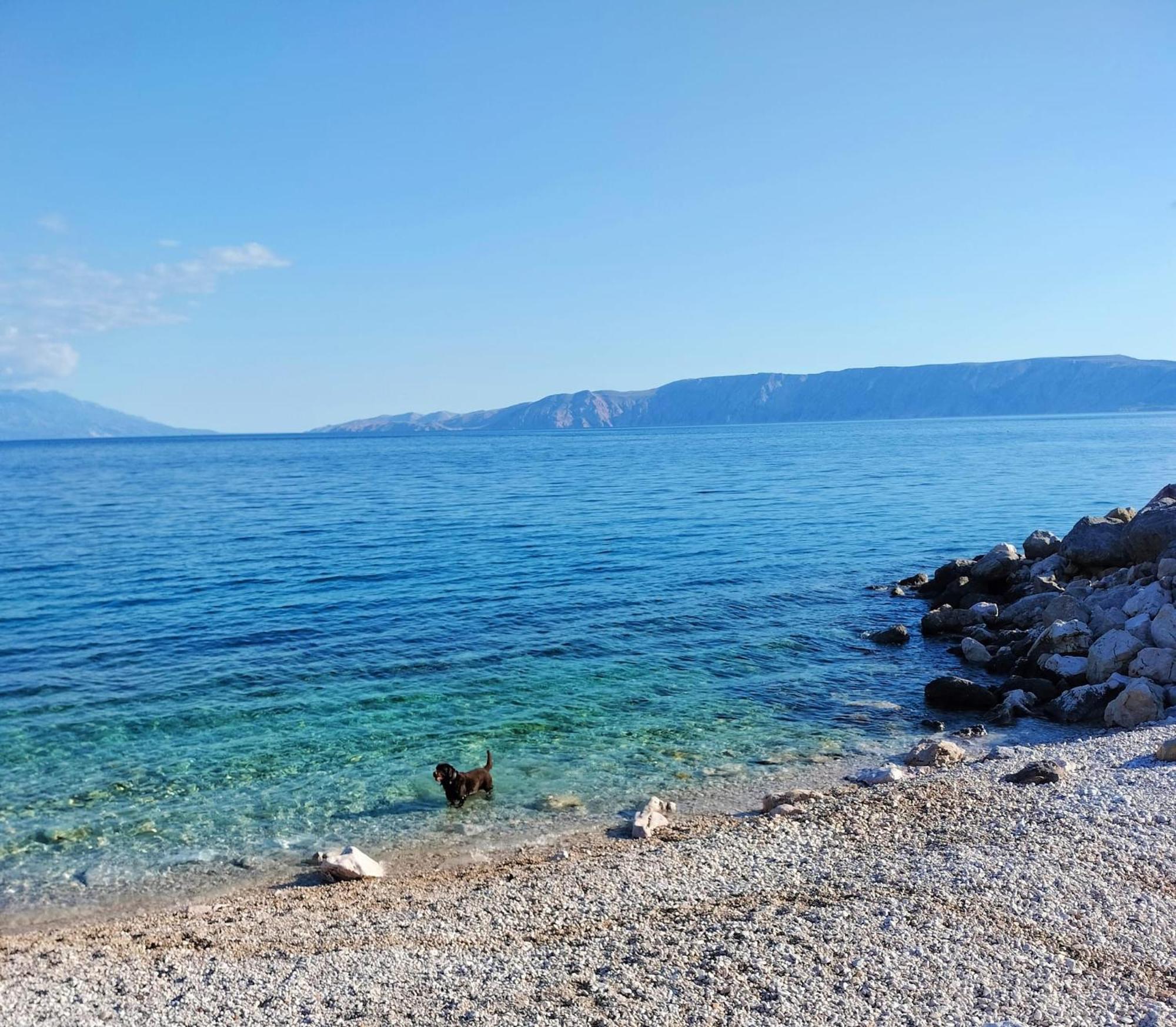 Apartmani Ivana Novi Novi Vinodolski Quarto foto